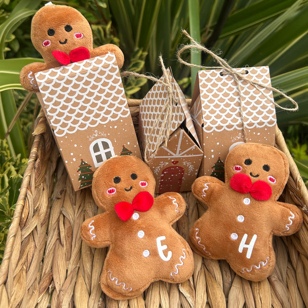 Mini personalised initial hanging gingerbread with gift box