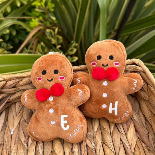 Mini personalised initial hanging gingerbread with gift box