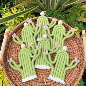 Mini hanging cactus