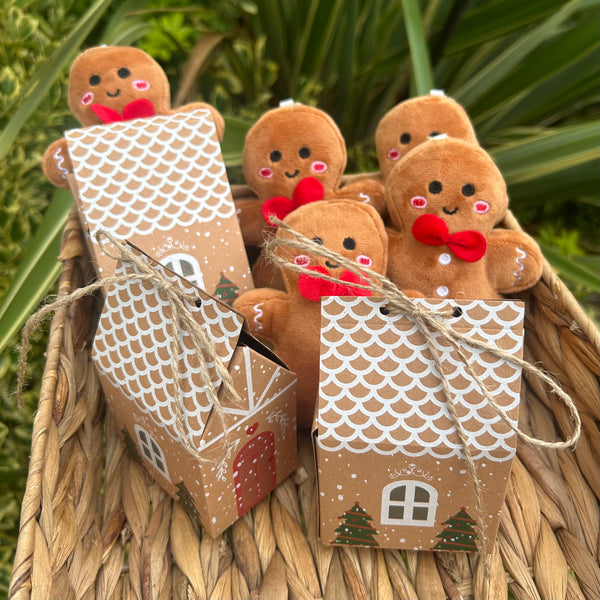 Mini personalised initial hanging gingerbread with gift box