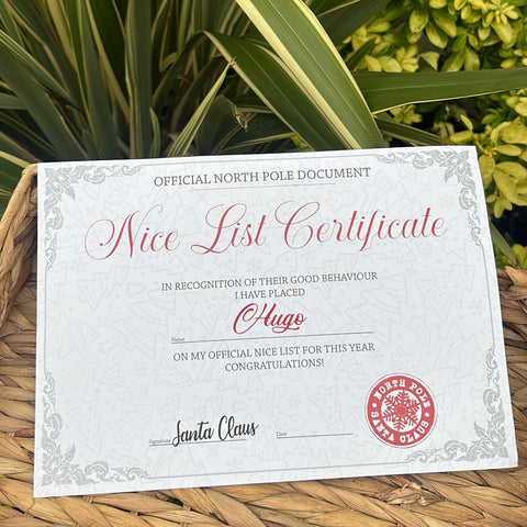 Nice list certificate