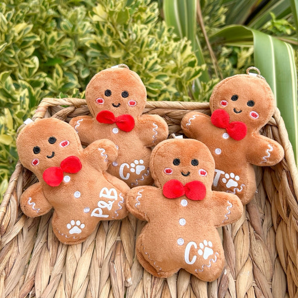 Mini personalised initial hanging gingerbread with gift box