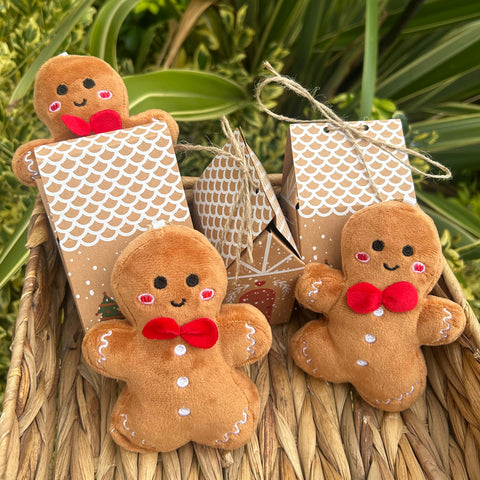 Mini hanging gingerbread decoration with gift box (not personalised)